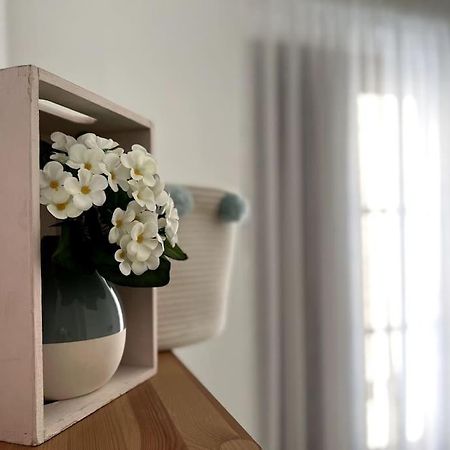 Apartamento Muy Centrico En 格拉纳达 外观 照片