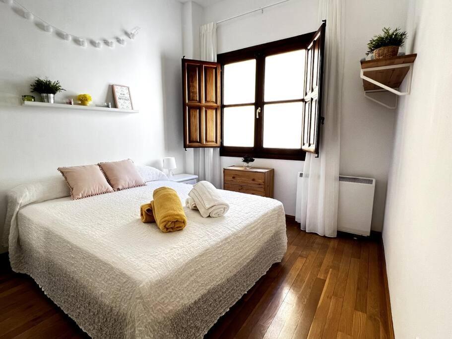 Apartamento Muy Centrico En 格拉纳达 外观 照片